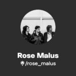 Rose Malus