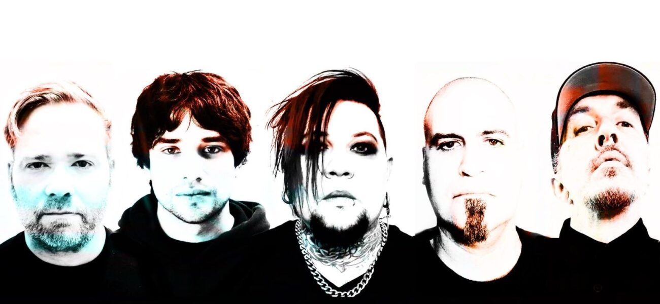 Spineshank Digital Newcastle