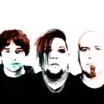 Spineshank Digital Newcastle