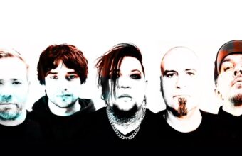 Spineshank Digital Newcastle