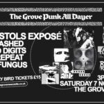 The Grove Punk All-Dayer official event artwork